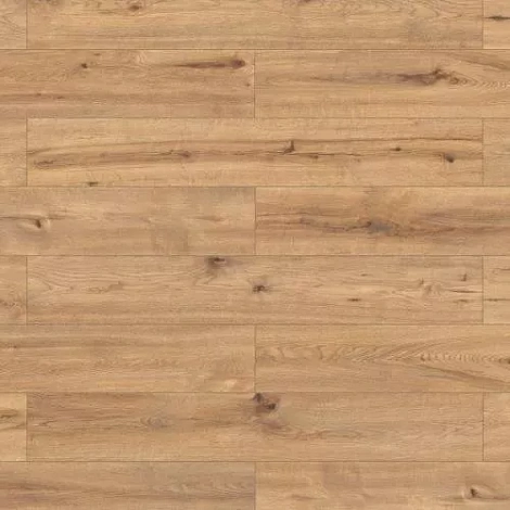 Ламинат Classen Diamond WR 62183 Дуб богота