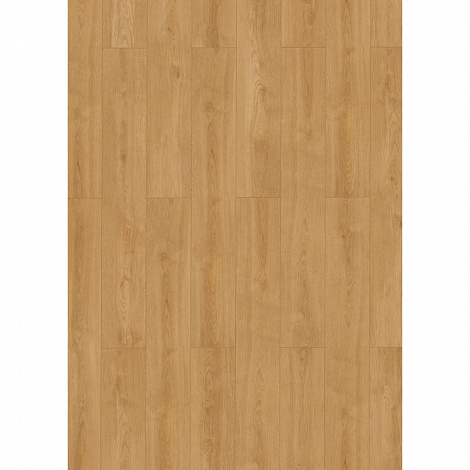Ламинат Classen Promo 68279 дуб мягкий медовый